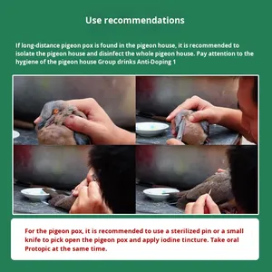Suplemento Vitamínico para el Tratamiento de la Viruela Aviar, Elimina la Infección, Píldoras para Eliminar la Viruela en Aves - Product Image 3