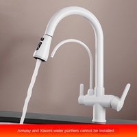 Mélangeur en acier inoxydable à tirette en laiton Flexible en acier inoxydable brossé extractible robinet d'évier de cuisine mélangeurs robinets de cuisine