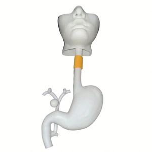 KyrenMed-Modelo de entrenamiento de Gastroscopia ERCP 3D, simulador de entrenamiento de cirugía gastroscópica con bandeja bucal y soporte - Product Image 1