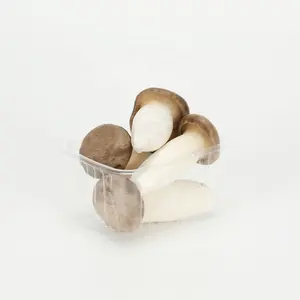 Ukuran kecil Cina asal Raja jamur coklat raja tiram