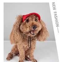 Gorra de béisbol transpirable de malla para perros con orificios para las orejas, sombrero de sol de verano para mascotas, gorras con visera para cachorros, para perros pequeños y medianos, y gatos.