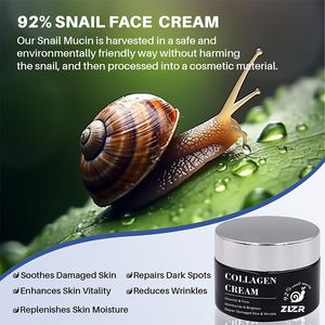 Suero Facial Líquido Blanqueador 5 en 1 de Marca Privada OEM con Ácido Hialurónico, Vitamina C, Vitamina E, Colágeno, Niacinamida, Ácido Azelaico y Té Verde - Product Image 5