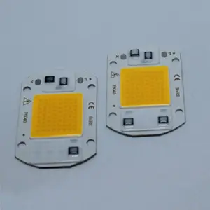 20W 30W 50W led garden yard light full spectrum integrated lamp beads white warm white AC110V