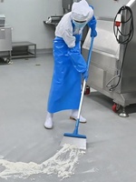 Grattoir à neige de qualité alimentaire Shianku, lame de rasoir, grattoir industriel en acier inoxydable 304, grattoir métallique