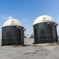 Solution intégrée de centrale biogaz pour la digestion anaérobie des déchets organiques de fumier d'élevage avec réservoir GFS