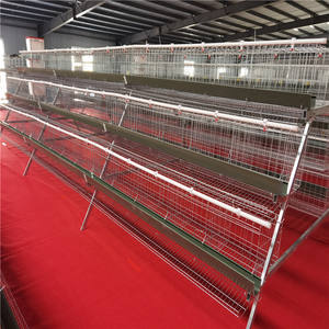 Jaula automática de 4 niveles para gallinas ponedoras, venta al por mayor 2026 - Product Image 6