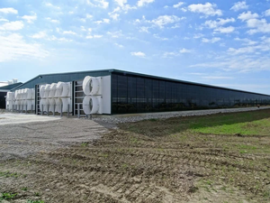 La griglia di pollo commerciale autogestita su larga scala ospita attrezzature per pollame con struttura in acciaio per uso agricolo - Product Image 4