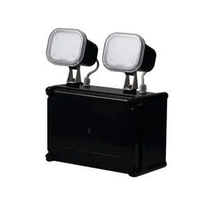 Exit Light Fixture 2 Lamp IP65 Waterproof High Lumen 2x6W LED Twin-spot Emergency Light For Hotel