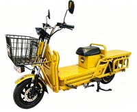 Moto électrique tout-terrain robuste YT 35 avec cadre en acier haute teneur en carbone, batterie au plomb ou au lithium en option pour la télécommande