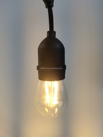 Ampoule à filament LED Edison blanc chaud S14 1W 2W Guirlandes lumineuses d'extérieur avec verre Jardin Luces 90 E27 30000 Alimentation CA