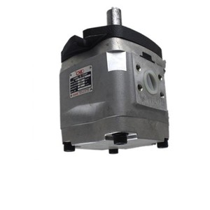 ปั๊มไฮดรอลิกแบบลูกสูบ CML รุ่น IGH IGM IGC ซีรีส์ IGC-4F-32-R IGM-5F-50-R-21 IGP4-H025 IGM-6E-125 IGM-6E-100 - Product Image 2