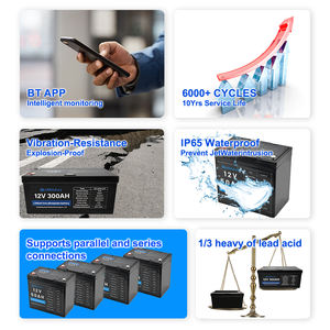 SIPANI Baterai Litium Besi Fosfat 24V 200Ah, Baterai Litium 24V 200AH 150Ah 24V 100AH LiFePO4 - Product Image 4