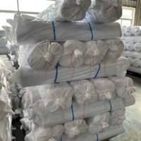 Entoilage thermocollant en polyester tissé de haute qualité, largeur 150 cm, en rouleaux, pour emballage et ceintures