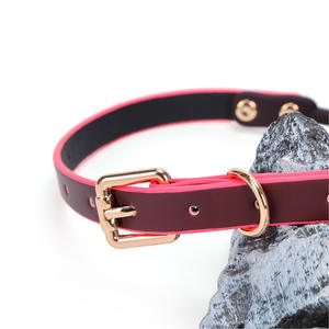 Tapón Bucal <span class=keywords><strong>de</strong></span> Silicona con <span class=keywords><strong>Cambio</strong></span> <span class=keywords><strong>de</strong></span> Temperatura, Accesorios Sexuales SM, Juguete Sexual <span class=keywords><strong>para</strong></span> Adultos, Coqueteo en Pareja, Juguetes Sexuales Sensuales, Hecho en Guangzhou - Product Image 6