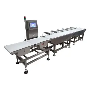 Industriële High-Efficiency Gewicht Sorteermachine Automatische Weging Transportband Gewicht Kwaliteit Check Sorteermachine