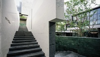Marbre vert bronze naturel, base vert-bleu profond avec veines fluides pour mur d'accentuation et plan de travail