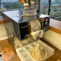 BesCool Meilleure vente Machine à grignoter à la glace électrique flocon de neige pour la maison et le restaurant Capacité de stockage de 20/60/120kg 110v