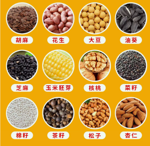 Keten tohumu/keten tohumu/çay tohumları yağ baskı makinesi - Product Image 3