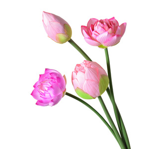 Fleurs de lotus artificielles, fausses tiges de nénuphars pour arrangements floraux de mariage, de temple et décoration paysagère - Product Image 6