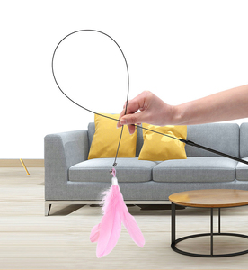 0.8m di lunghezza retrattile divertente asta di <span class=keywords><strong>gatto</strong></span> stile semplice <span class=keywords><strong>gatto</strong></span> piuma giocattolo per la pesca potente ventosa bastone campanella di piume giocattoli per gatti - Product Image 2