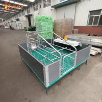 Cage de maternité pour truies, enclos de maternité pour porcs, équipement d'élevage porcin pour projets d'élevage de porcs, fournisseur OEM ODM