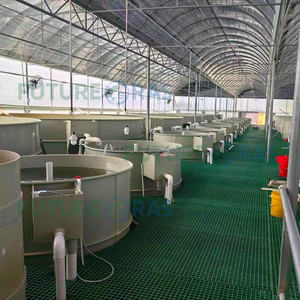 इनडोर बड़े वाणिज्यिक फ्राप मछली फार्म स्टॉक टैंक पूर्ण सेट गोलाकार फिबरग्लास मछली तालाब निर्माता - Product Image 5