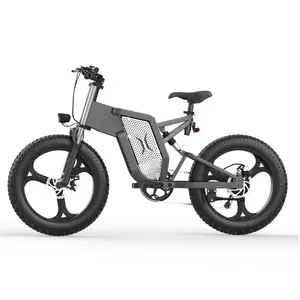 2023 yeni 20 inç ön ve arka şok 500W 1000W 25AH 30AH yüksek beygir gücü açık Off-yol geniş 48 yağ lastik elektrikli bisiklet
