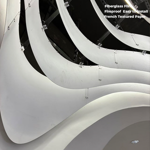 Película de Fibra de Vidrio Translúcida Ignífuga B1, Decoraciones para Techos de Boda, Papel Texturizado Francés, Papel Francés con Diseño de Gotas - Product Image 3