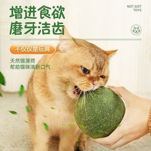 Giant Catnip Ball 10cm Diameter For Cats Fresh Breath Tooth Care - Product Image 3