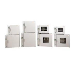 XZ <b>LAB</b> <b>Lab</b> Drying Equipment Hot Air Circulating Oven DGG-9123AD 105L 10 To 200 for Laboratory - Product Image 5