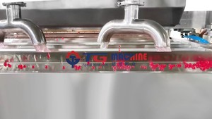 Machine à popping boba automatique à efficacité améliorée pour la fabrication de jus boba - Product Image 2