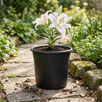 Pots de fleurs modernes en plastique PP en gros avec trous de drainage - Pots de pépinière durables et légers pour jardinage, usage intérieur/extérieur