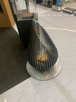 Acier inoxydable, bois, brûleur, extérieur, foyer