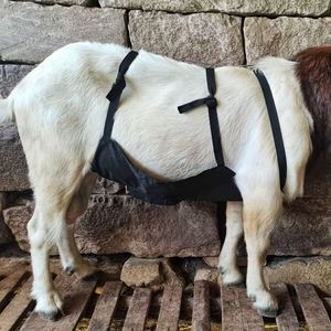 Dispositif anti-matings pour moutons, combinaison de stérilisation respirante en polyester, instrument d'insémination vétérinaire durable - Product Image 2