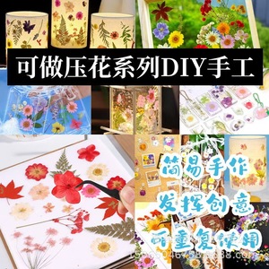 <b>Diy</b> Flower Pressing Tool Wooden Plant Specimen Making <b>Kit</b> With Absorbent And Pressing Boards For Home Crafts - Product Image 4