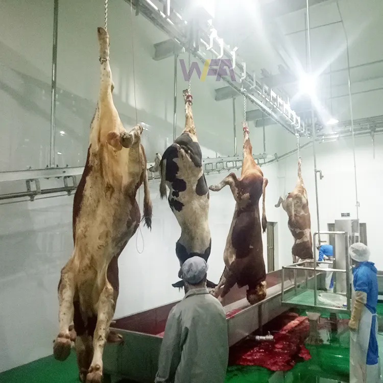 인도적인 암소 도살장 소 소 도살장 기계 도축 장비에 대한 하루에 50 100 200 소 도축 라인