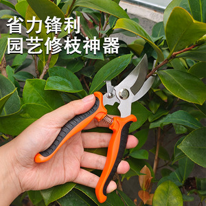 Gardening <b>tools</b> 20-piece complete <b>set</b>, including pruning shears, fruit picking <b>tools</b>, and high-branch shears for home <b>garden</b> - Product Image 1