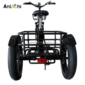 ANLOCHI Giá Tốt 48V 500 Wát 24Inch Cao Mạnh Mẽ Fat Tire Electric <span class=keywords><strong>Drift</strong></span> <span class=keywords><strong>Trike</strong></span> Cho Dài Rang Cargo - Product Image 2