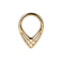 Bagues segmentées en titane G23 et zircon, style punk, pour piercing professionnel du nez, certifiées ISO, fournisseur direct d'usine