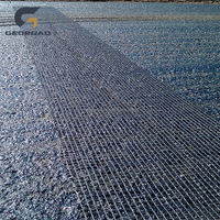 Geogrid de Poliéster de Alta Resistencia a la Tracción con Certificación CE Georoad para Estabilización de Suelos con 5 Años de Garantía