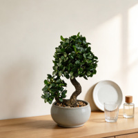 Arbre Bonsaï Ficus Artificiel Moderne en Plastique Écologique Léger avec Tronc Torsadé Simulé Ficus Microcarpa pour Table de Maison