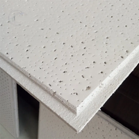 Dalles de plafond acoustiques carrées en fibres minérales noires 600x600 à prix d'usine, idéales pour sous-sol et salle de bain
