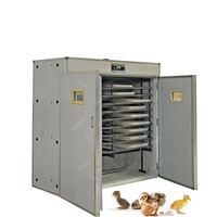 Couveuse automatique 1500 couveuse de poulet 10000 couveuse d'oeufs Machine 1056 couveuse d'oeufs de poussin Machine