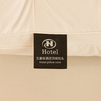 Coussin de lit de luxe en duvet d'oie blanc 95% pour hôtel, insert de coussin 100% duvet d'oie, doux et confortable