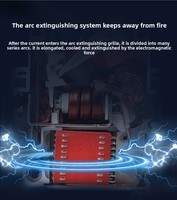 Chint Stock NBE7 Disyuntor en miniatura 1P Interruptor de aire Interruptor de alimentación pequeño Protector de tipo D MCB