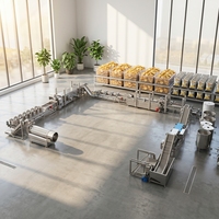 Volledig automatische fruit- en groentefriteuse, was-, verpakkings- en productielijn, aanpasbare capaciteit voor snackverwerkingsfaciliteiten