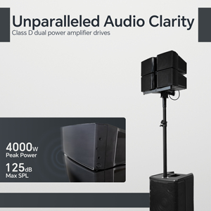 רקיסוני LAP412D3-4.6K רמקולים מערכת סאונד מקצועית dj רמקול מערך קול פעיל - Product Image 4