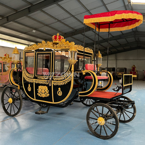 Kèm theo đầy đủ xe ngựa hoàng gia toa xe vận chuyển đặc biệt để tham quan loại xe công chúa với điều hòa không khí - Product Image 5