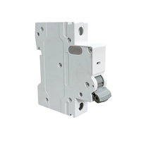 Disjoncteur miniature 1P C16 MCB 230V 6kA, série LINZiELE M80, IP20, protection contre les surcharges/courts-circuits, usage domestique, CE