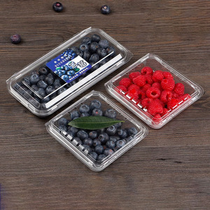Hiện đại 14oz 18OZ Blueberry vỏ sò bán hot trong suốt Pet trái cây vỏ sò container punnet Blueberry vỏ sò bao bì - Product Image 3